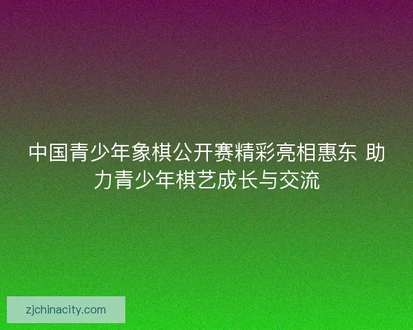 中国青少年象棋公开赛精彩亮相惠东 助力青少年棋艺成长与交流