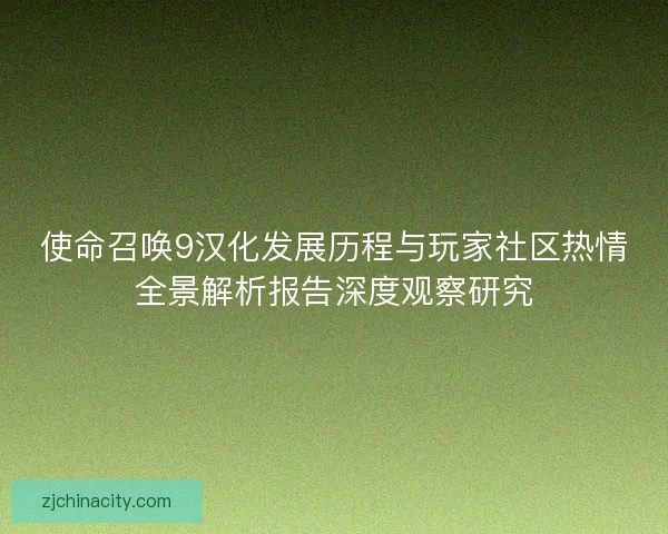 使命召唤9汉化发展历程与玩家社区热情全景解析报告深度观察研究